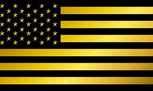 Image result for American Flag Cartoon