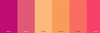 Image result for Pink Yellow Color Scheme