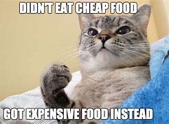 Image result for Too Expensive Cat Meme