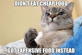 Image result for Expensive Luxury Cat Meme