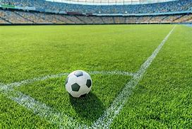 Image result for Soccer Ball On Grass