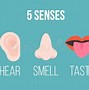 Image result for Senses for Kids