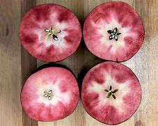 Image result for French Red Flesh Apple