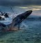 Image result for Cool Shipwrecks