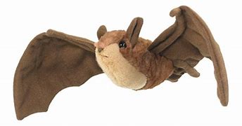 Image result for Bat Plushie