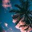 Image result for Summer Aesthetic iPhone Wallpaper