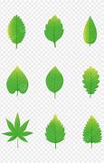 Image result for Green Leaves Cartoon