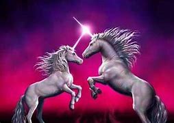 Image result for Unicorns Fighting