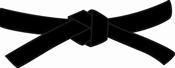 Image result for Belt Clip for Soft Hold