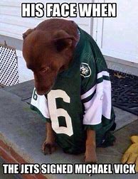 Image result for Funny New York Jets Memes