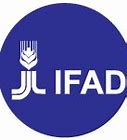 Image result for ifad