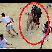 Image result for Bull Fights Gone Wrong