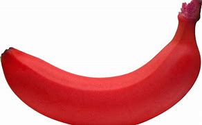Image result for Large Red Banana Clip