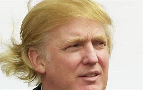 Image result for Trump Hair Art