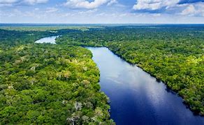 Image result for Amazonas