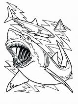 Image result for Chicago Bulls Adult Coloring Pages