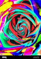 Image result for Pop Art Rose