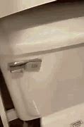 Image result for Vacuum Toilet Flush Button