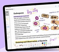 Image result for iPad Note Taking App That Looks Like Books