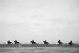 Image result for Dead Racehorses