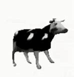 Image result for Unhappy Cow Meme