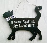 Image result for Funny Cat Signs
