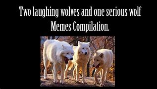 Image result for Inner Wolf Meme