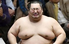 Image result for Sumo