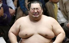 Image result for Sumo Fighter