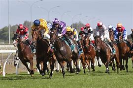Image result for Thouroughbred Racing Horse