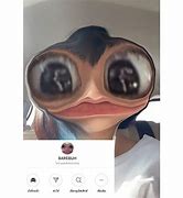 Image result for Funny Filters Background