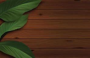 Image result for Wood Texture Background Green