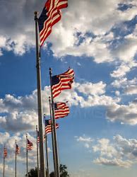 Image result for US Flag Photo Portrait