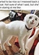 Image result for Iconic Cat Memes