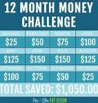 Image result for 12 Month Money Saving Challenge