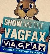 Image result for Show Me the Vagfax Meme