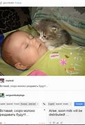 Image result for Funny Russian Animals