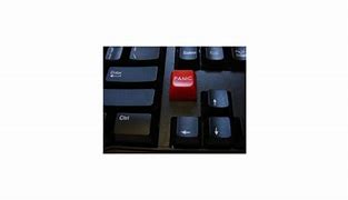 Image result for Novelty Panic Button