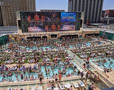 Image result for Circa Sportsbook Pool