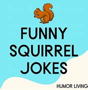 Image result for Funny Squirrel Cartoon Jokes