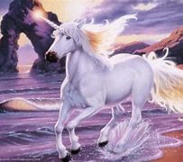 Image result for White Unicorn
