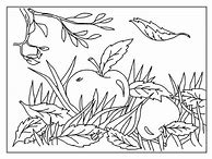 Image result for Apple Leaves Coloring Page