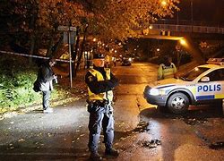 Image result for Sweden Zoo Incident