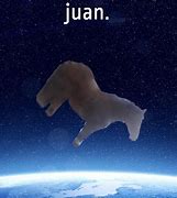 Image result for Juan Horswe Memes