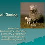 Image result for Graph On Animal Cloning