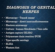 Image result for Genital Ulcer