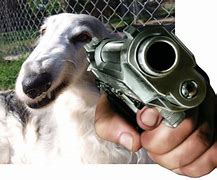 Image result for Doge Meme with Gun