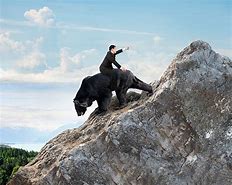 Image result for Man Riding a Bear