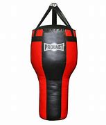 Image result for Boxing Bag Types