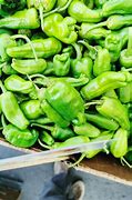 Image result for Spicy Green Peppers